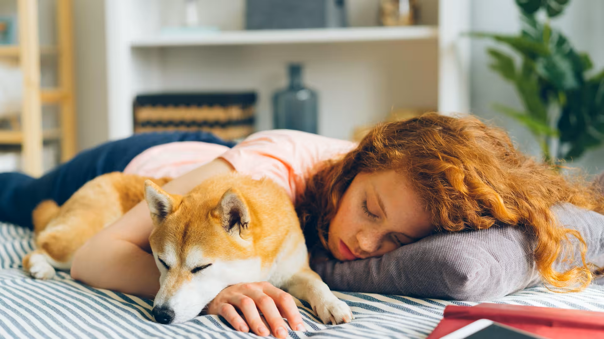 The Best Pillows for Neck Pain